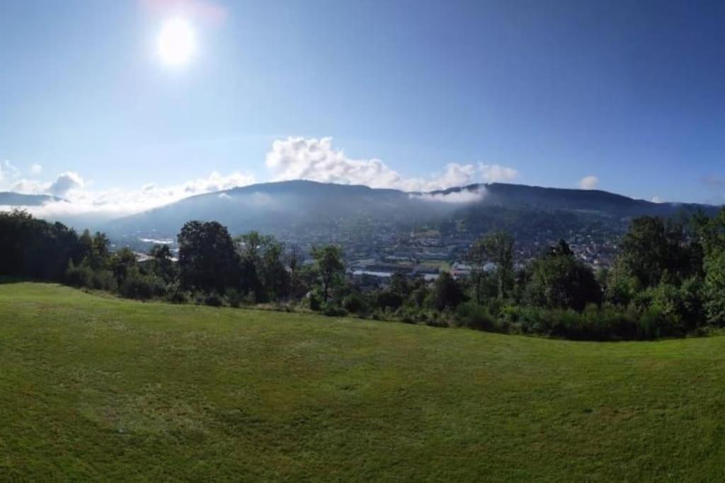 Appartement Residence Les Dryades Avec Vue Montagne Gérardmer Exterior photo
